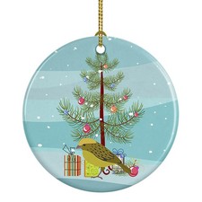 Lizard Canary Merry Christmas
