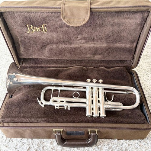 Trompette bach stradivarius - bach,