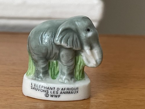 Fève eléphant afrique - eléphant, d'afrique