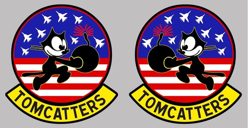 Grumman tomcat f14 - 2, x