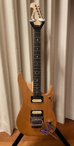 Washburn vintage usa made - washburn,