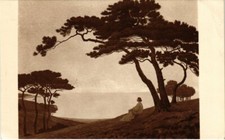 CPA AK Le Calme du Soir - Morisset SALON DE PARIS (1355517)