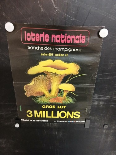 Affiche loterie champignons - affiche,