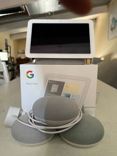 Pack google nest hub - google,
