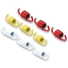 MALOSSI 2912536 Ressorts