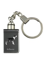 Bull Terrier, Bullterrier -