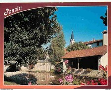 01 - Poncin - Le Lavoir - Rivières à truites Le Veyron - CPM - Voir Scans Recto-