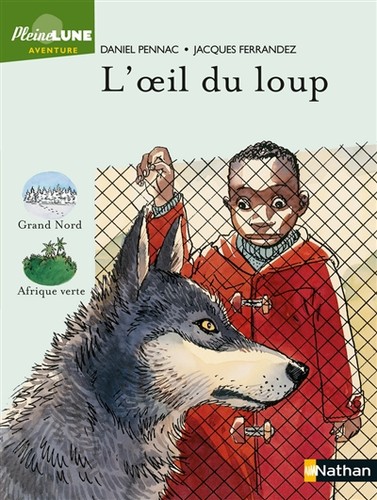 Oeil loup - l'oeil, du