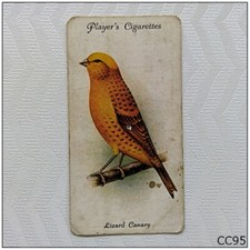 Player Cigarette Card Aviary