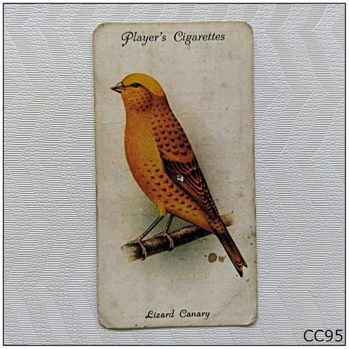 Player cigarette card aviary - cigarette,