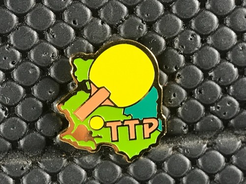 Pins pin badge - ,