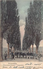 France - WISSEMBOURG (67) Aldenstädter-Straße - Pappelallee