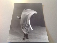 SHEILA - PHOTO DE PRESSE ORIGINALE   18x24cm