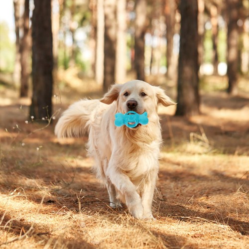 Jouet chien interactif - ,