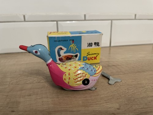 Canard swimming duck - canard, « swimming