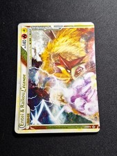 Entei & Raikou Légende 90/95 HGSS Déchaînement Carte Pokémon FR