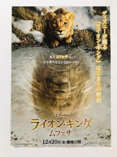 Mufasa roi lion - mufasa, disney