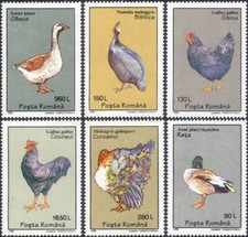 Roumanie 1995 Oiseaux Volailles Oies Canards Dinde Poulet Guinée Oiseaux Nature