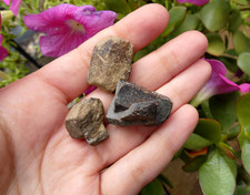 Lot 3 Staurolite Staurotide de Coray - Minéral Collection Pierre Lithothérapie