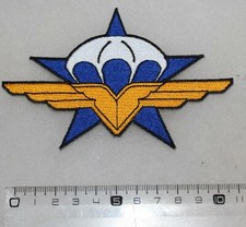 Insigne1er régiment chasseur - insigne1er,