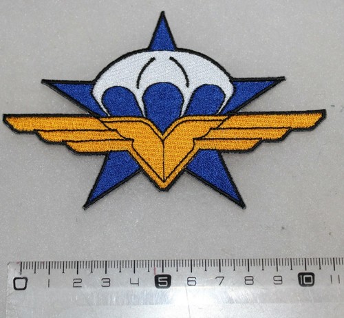 Insigne1er régiment chasseur - insigne1er,