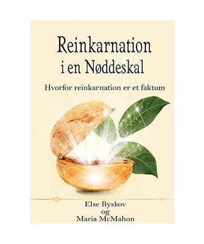 Reinkarnation nøddeskal - en,
