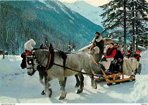 Carte postale animaux - carte,