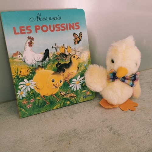 Mes amis les - les, poussins