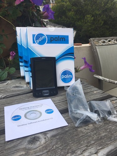 New box palm tungsten - tungsten, tx