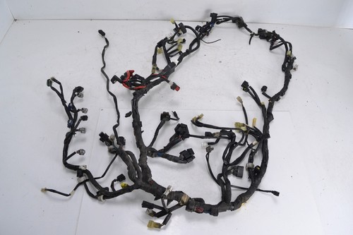 Faisceau électrique principal