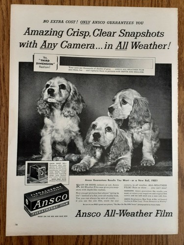 Vintage 1950 print ansco - vintage, ad