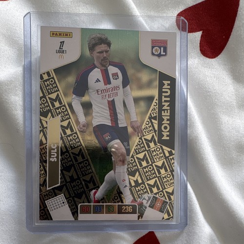 Panini adrenalyn ligue - panini, xl