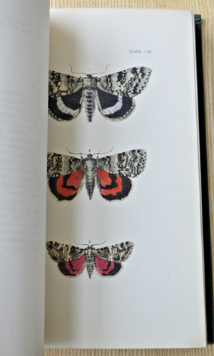 Natural history british - history, of