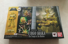 D.D. Panoramation Virgo Shaka