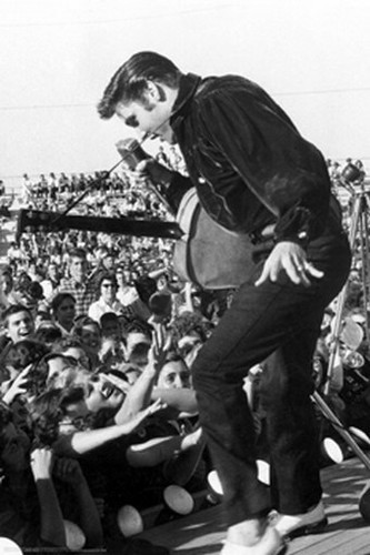 Elvis presley poster live - elvis,