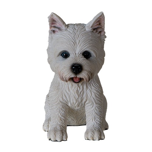 Pacific trading westie - pt,