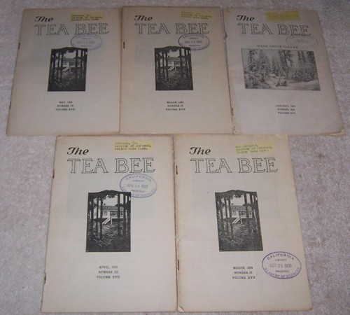 Lot tea bee - lot,