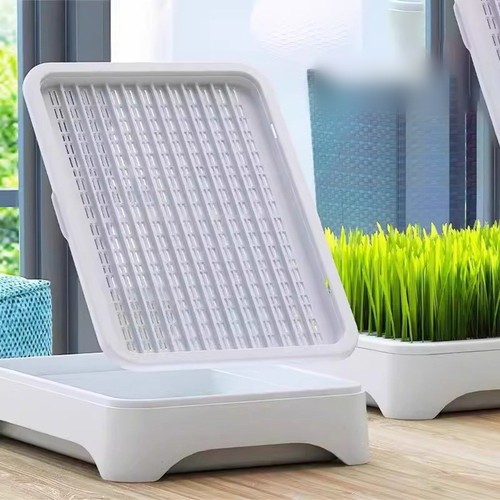 Plateau herbe blanc chat - herbe, pp
