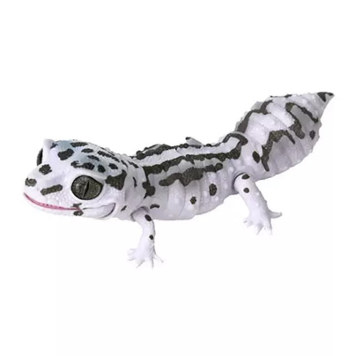 Mini figurine gecko léopard