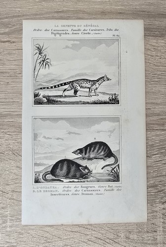 Gravure ancienne sur - , cuivre
