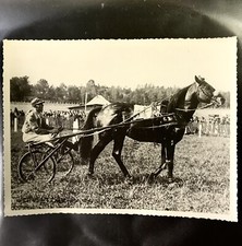 Photo Cheval Trotteur De  Robert De Rozycki Course Hippique Horse Racing 1947