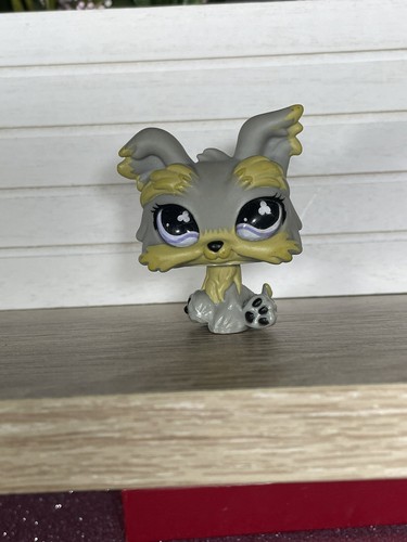 Petshop chien - 💖🌺petshop,