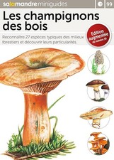 Mini-guide gratuit : Les