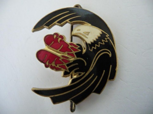Insigne armée air drago - insigne,