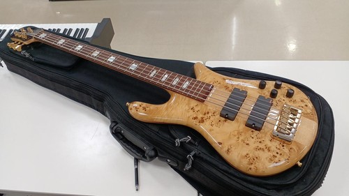 Spector string bass - bass, euro5