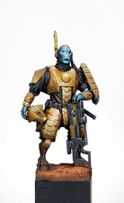 Pro Painted - Tau warrior 54mm