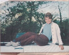 Bas nylon Claudia Sylva (photo