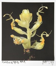 Jonathan Singer, en Fleur