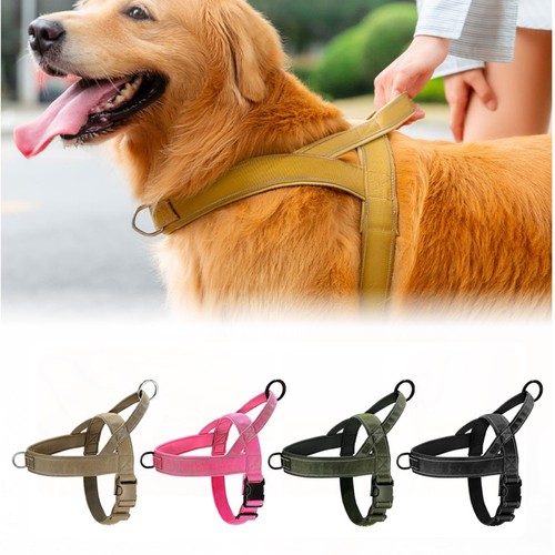 Harnais pour chien sans