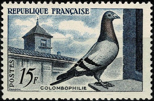 France 1957 pigeon - france,